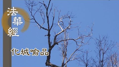 《法華經 化城喻品》 - 六情諸根 悉轉為善 - 第1003集