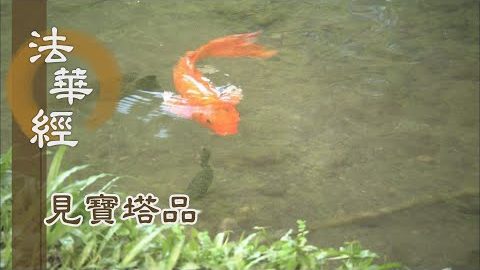 《法華經 見寶塔品》- 啟請開示 寶塔因緣 - 第1264集