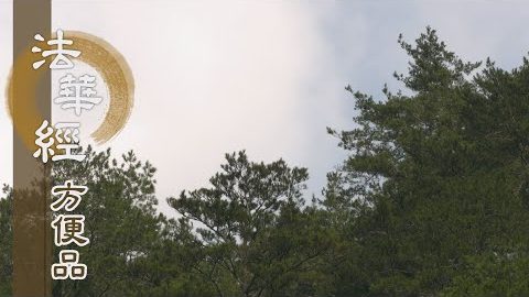 信歸佛大覺 - 第357集