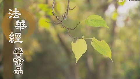 《法華經 譬喻品》佛道長遠 覺行精進 - 第491集
