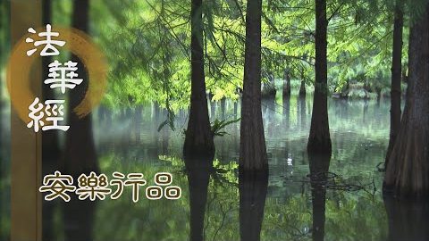 深心受持 遠離重障 - 第1430集