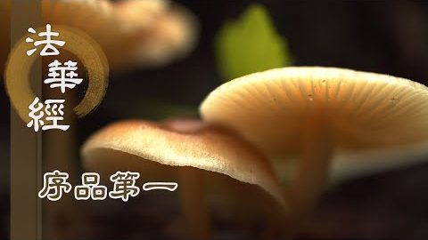 步步生蓮《法華經》總說(二)