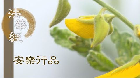 年少輕躁 道業難貫 - 第1395集