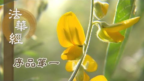 《法華經 序品第一》- 富樓那彌多羅尼子 - 第51集