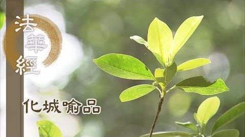 《法華經 化城喻品》 - 供養恭敬 尊重讚歎 - 第994集