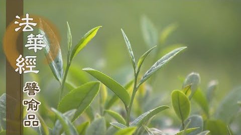 《法華經 譬喻品》覺諦明理悟諸法 - 第630集