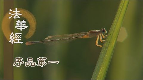 《法華經 序品第一》- 啟發內心妙智之光 - 第132集