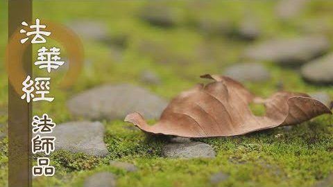 《法華經 法師品》- 實相幽微 廣無邊涯 - 第1238集