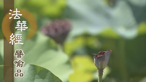 《法華經 譬喻品》先三後一無虛妄 - 第612集