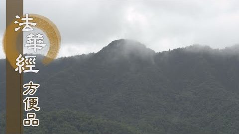 心佛一如 定慧無量 - 第353集