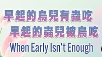 267早起的鳥兒有蟲吃-早起的蟲兒被鳥吃
