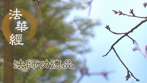 聞聲清淨 不染塵勞 - 第1666集