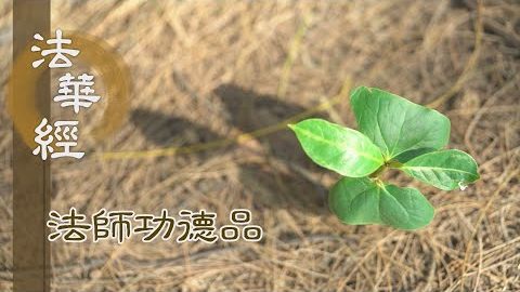菩薩行願 作大法師 - 第1671集