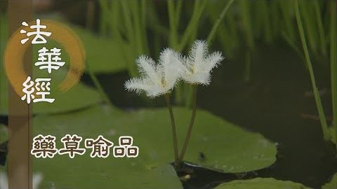 《法華經 藥草喻品》諸佛功德無盡藏 - 第869集