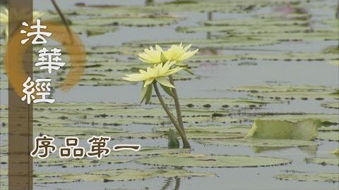 《法華經 序品第一》- 摩訶迦旃延 阿㝹樓馱 - 第46集