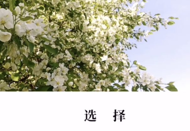 选择