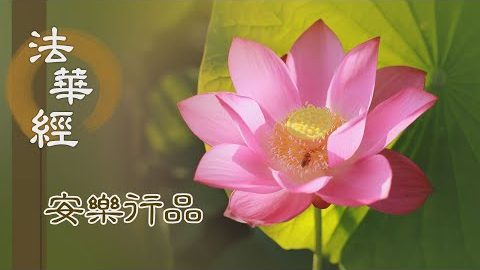 遠離諸惡 親近善友 - 第1402集