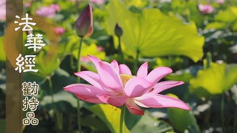 道力未足 願至他方 - 第1365集