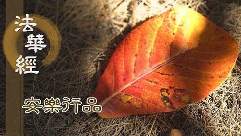 久護明珠 今乃與之 - 第1446集