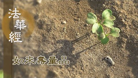 生死苦惱 劫火所燒 - 第1548集