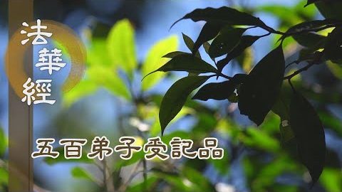 《法華經 五百弟子受記品》- 生死長夜 明珠相照 - 第1162集