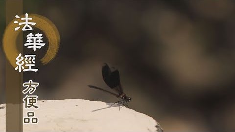 唯一無二乘 - 第378集