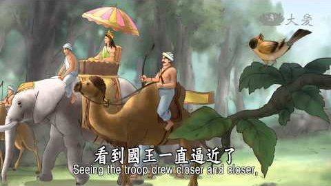 No.29 鹿王与国王