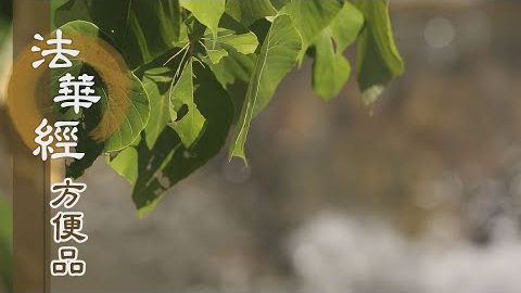 深心精進信願行 - 第417集