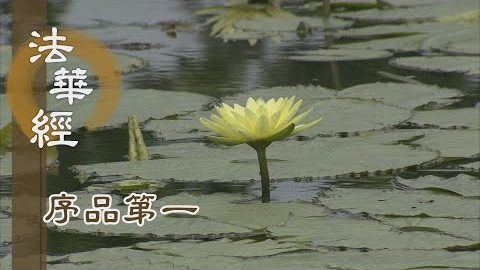 慈悲十力無畏起 - 第155集