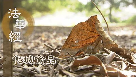 《法華經 化城喻品》 - 借有漏果 作無漏因 - 第1012集