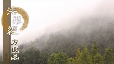 深生信心 去疑求法 - 第239集