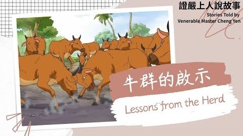 牛群的啟示Lessons from the Herd|不知不覺過日子|要覺悟|小故事大啟示