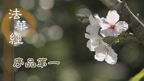 《法華經 序品第一》- 十二因緣法 - 第119集