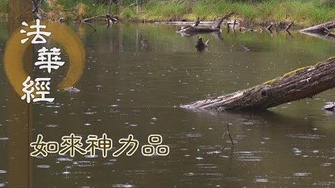 《法華經 如來神力品》斯道得傳 諸佛歡喜 - 第1793集