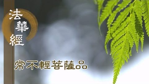 《法華經 常不輕菩薩品》佛佛道同 皆說法華 - 第1752集