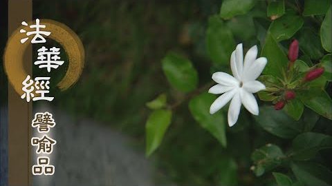 《法華經 譬喻品》長者驚怖 慈悲憂念 - 第542集