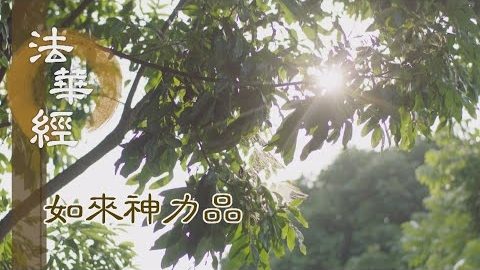 《法華經 如來神力品》真善之理 妙法之諦 - 第1794集