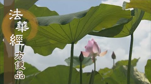 智慧慈悲施妙權 - 第420集