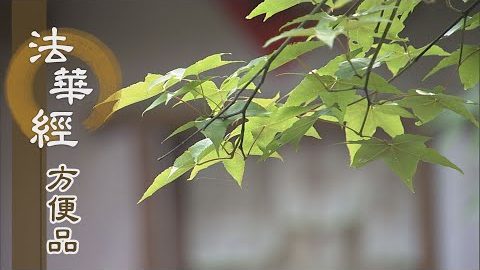 契合佛心 隨宜說法 - 第455集
