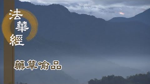 《法華經 藥草喻品》 - 澍法雨 利眾生 - 第877集