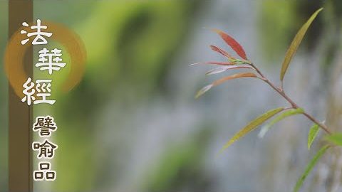 《法華經 譬喻品》勤修深信求佛慧 - 第603集