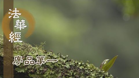 《法華經 序品第一》- 忖已德行 忖己利他 - 第38集