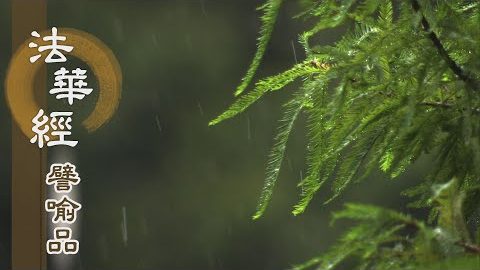《法華經 譬喻品》貪愛苦報 戒慎六根 - 第596集