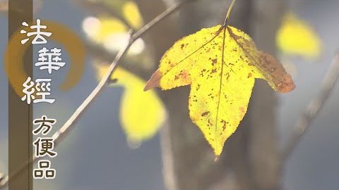 法海德無邊 - 第187集