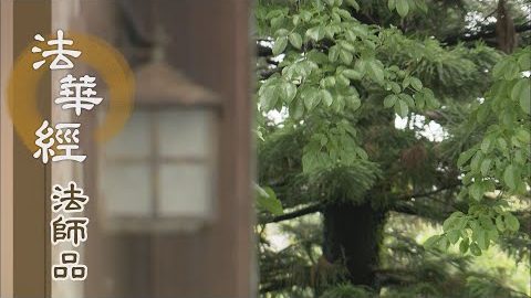 《法華經 法師品》- 應病施藥 說法無畏 - 第1231集