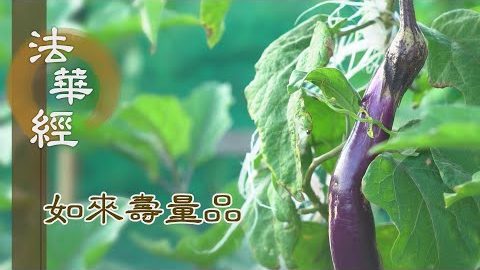 如來實見 三界之相 - 第1523集