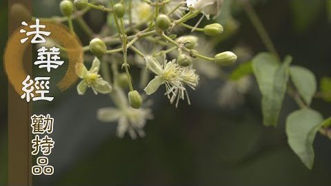 難可教化 當起大忍 - 第1364集