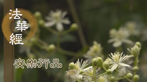 一切法空 無常無斷 - 第1408集