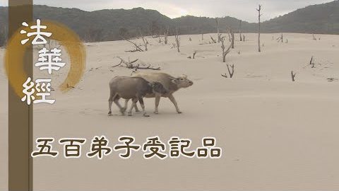 《法華經 五百弟子受記品》- 五百比丘 次第作佛 - 第1147集