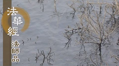 《法華經 法師品》- 能行三法 利己利人 - 第1241集